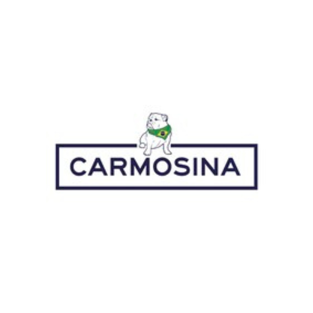  Thyrso Camargo
